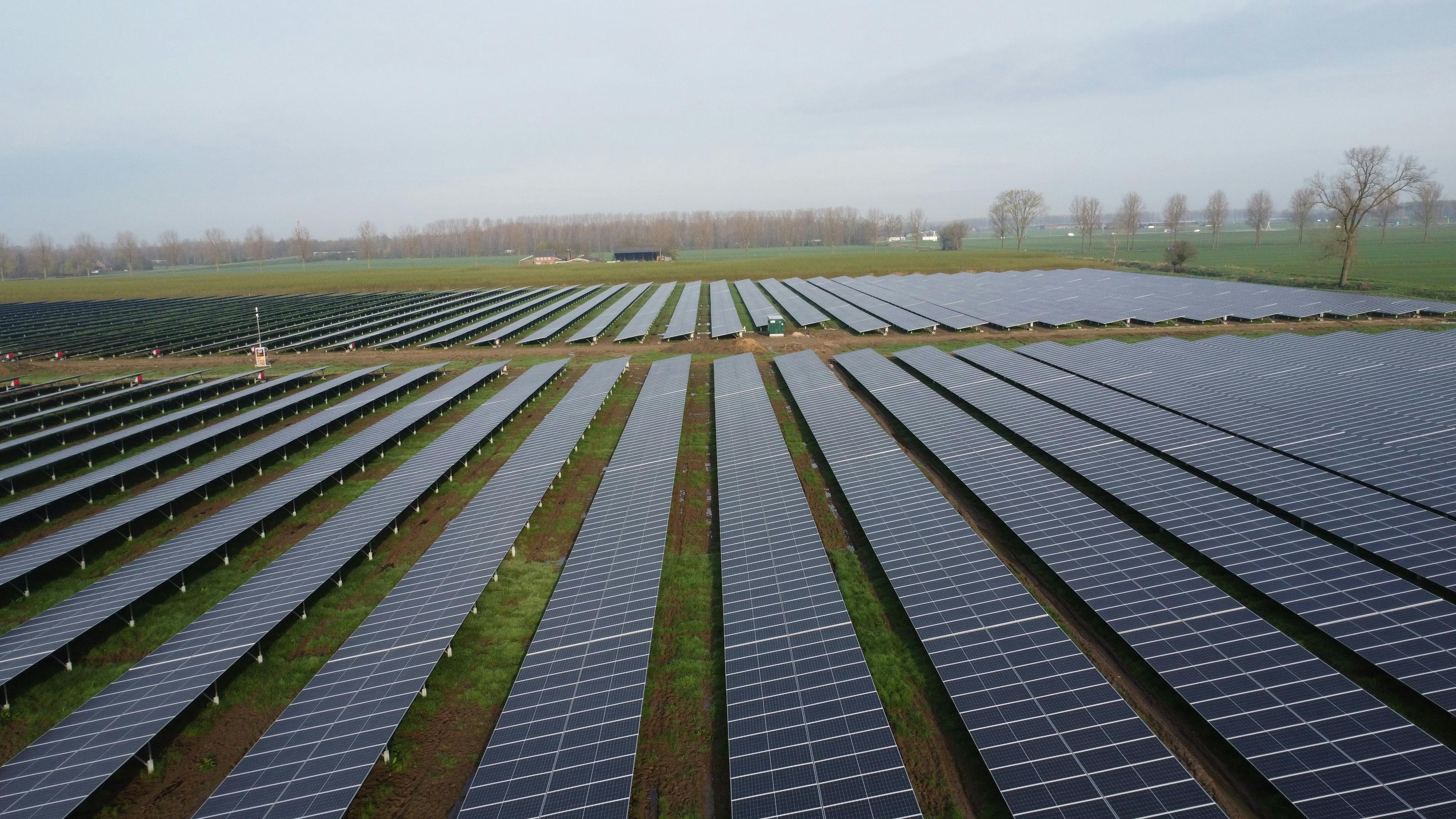 Projekt o výkonu 25 MWp v Nizozemsku dokončen pro TPSolar