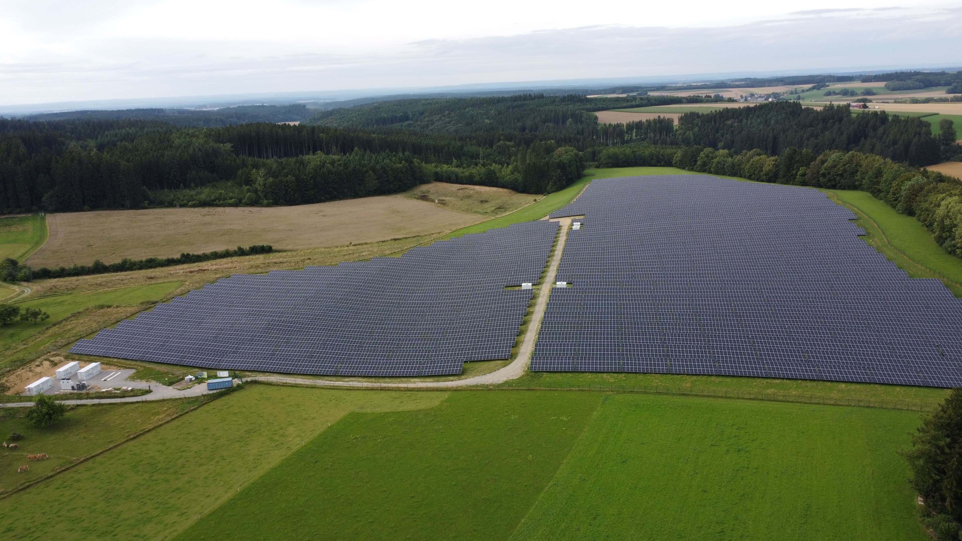 Greenbuddies eröffnet EPC-Niederlassung in Deutschland