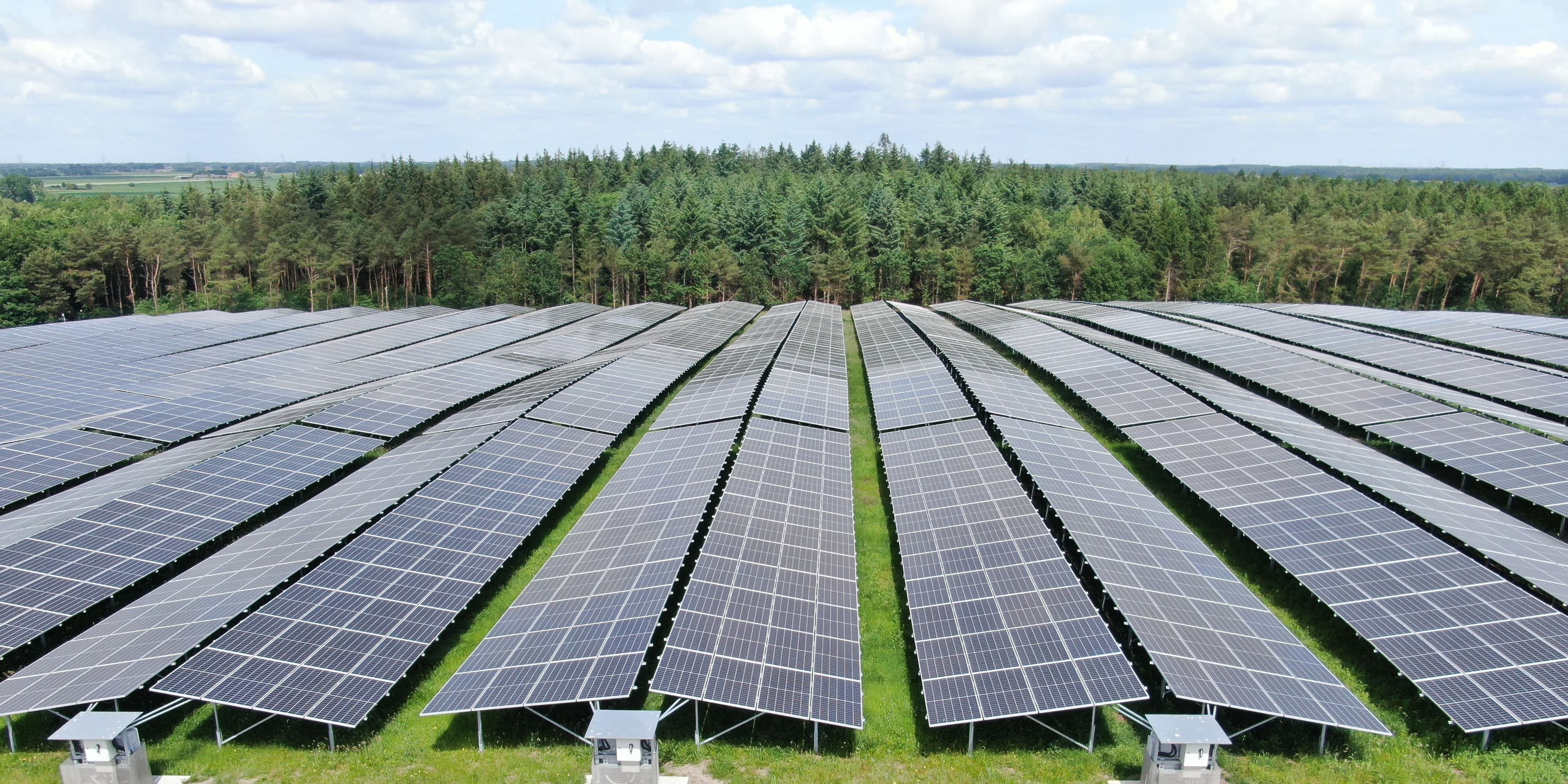 Bovenveld freefield project in the Netherlands