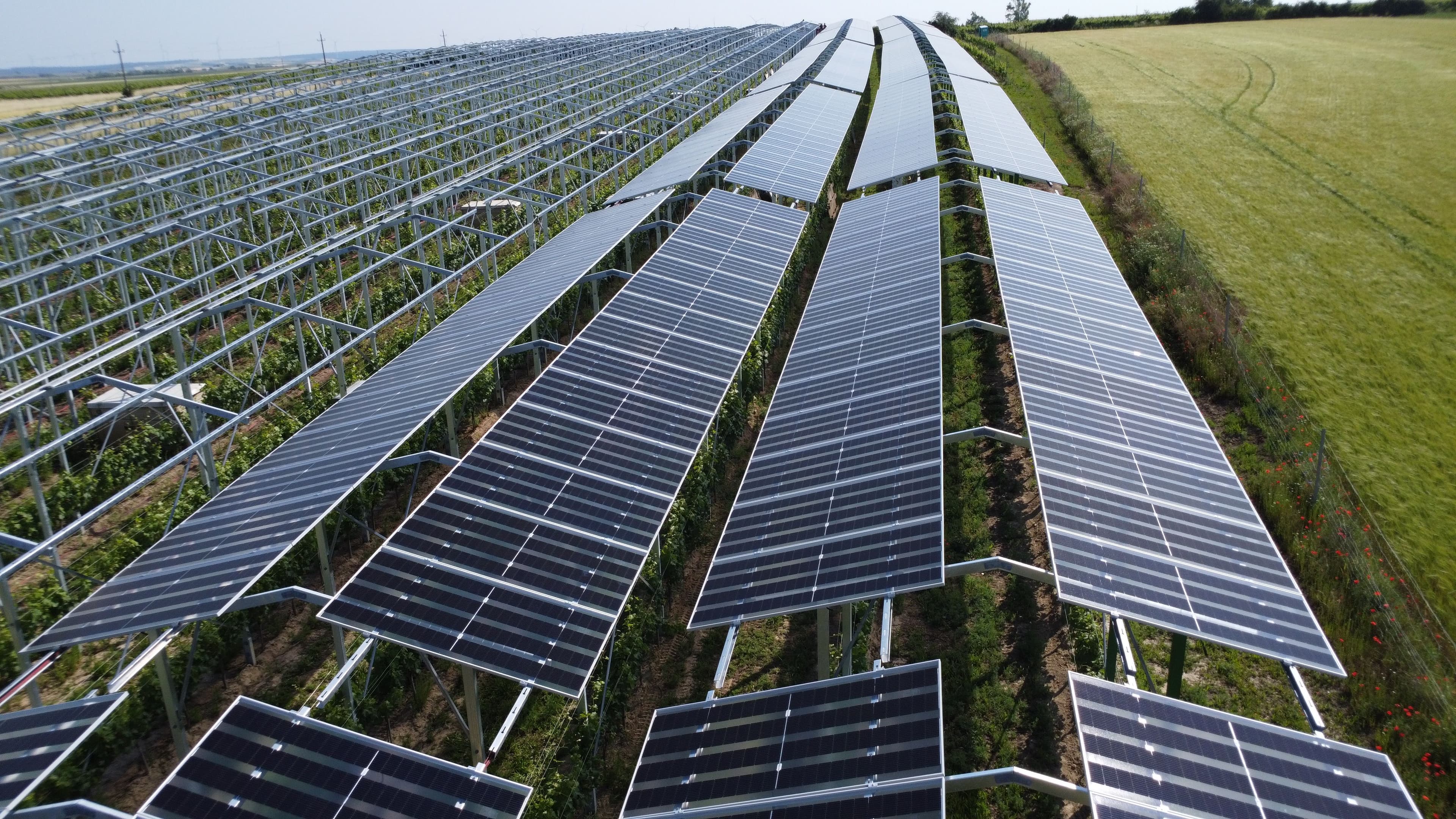 Postavili jsme pozemní fotovoltaickou elektrárnu o výkonu 0,92 MWp.