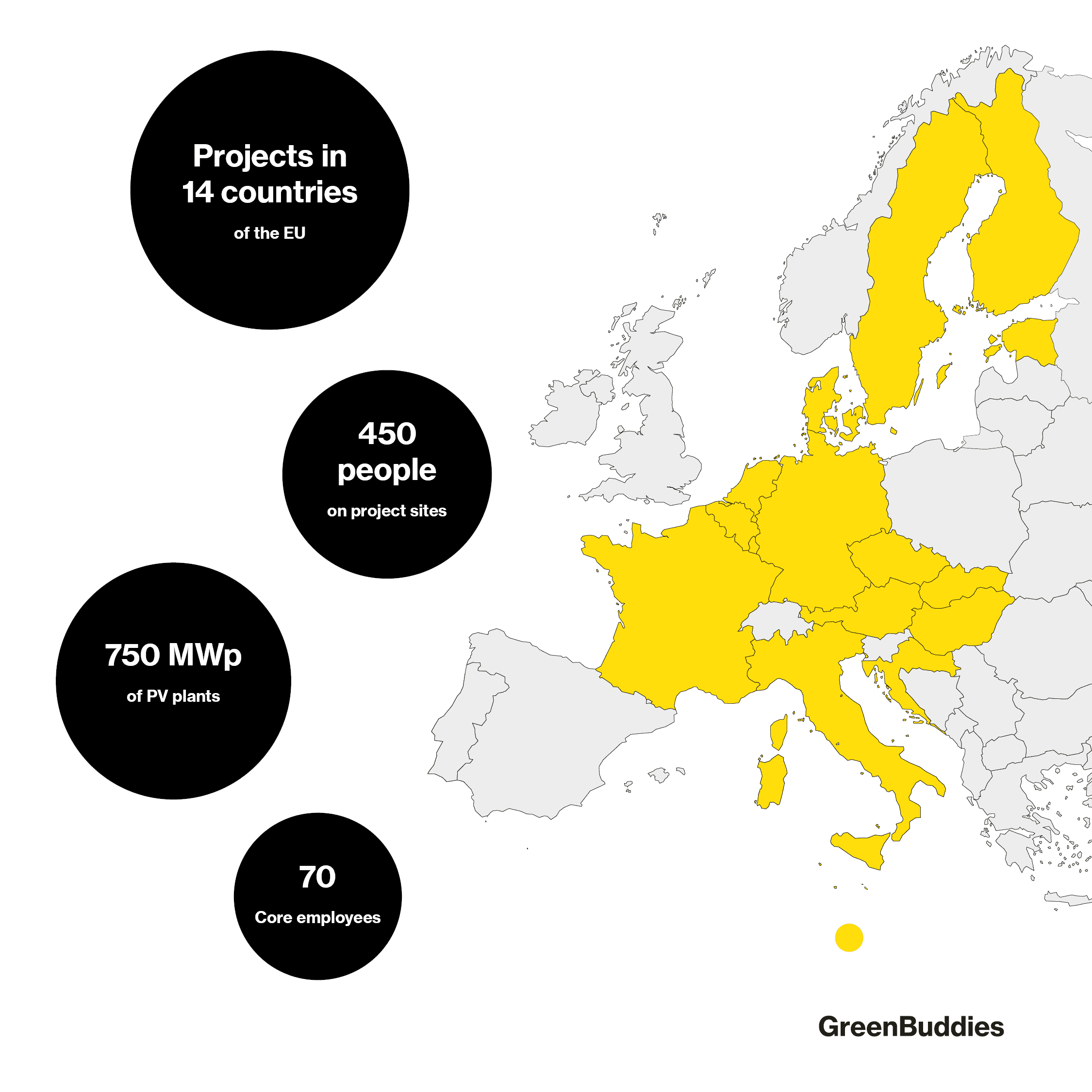 Greenbuddies group project statistics