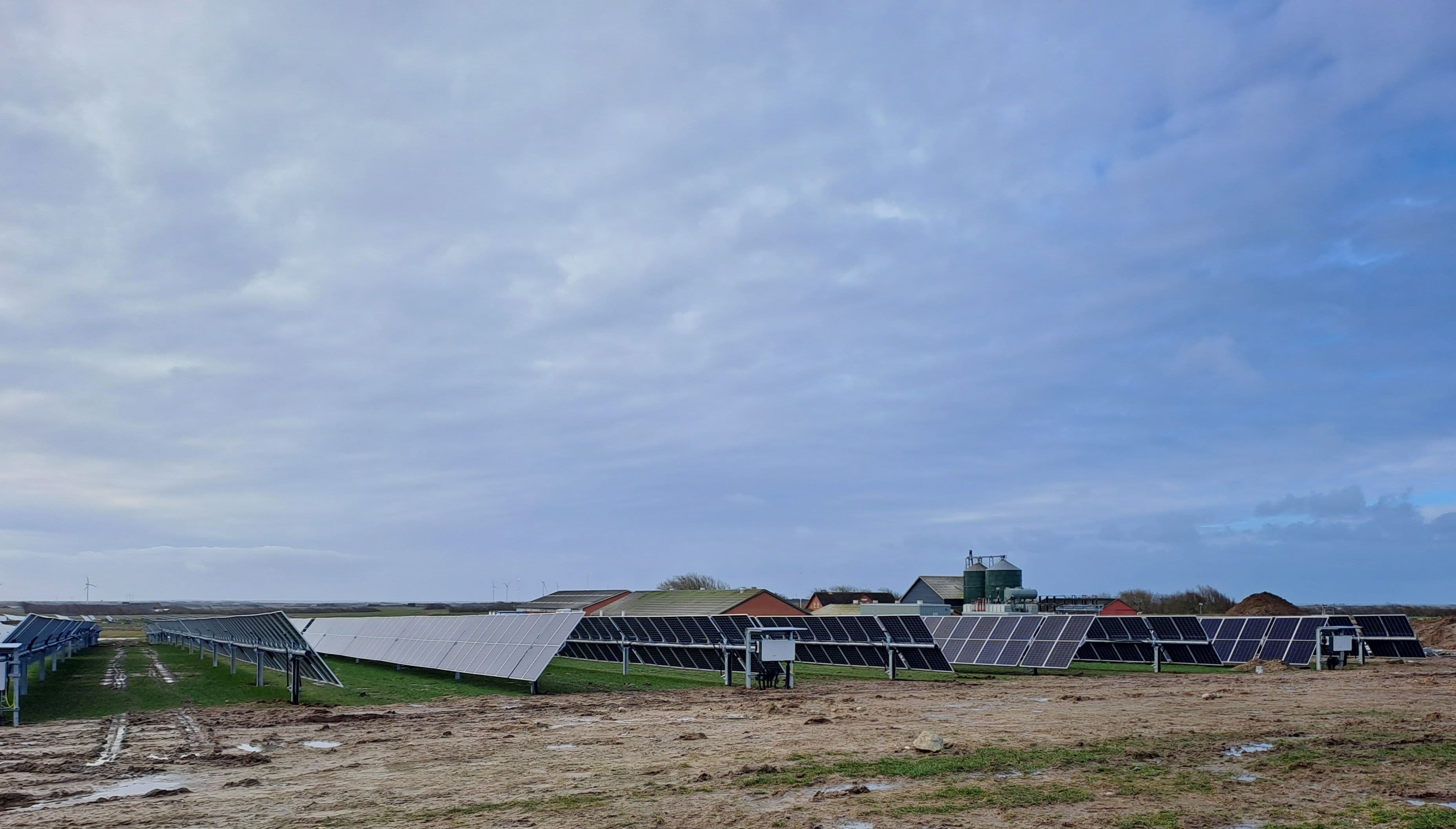 Freefield in Denmark