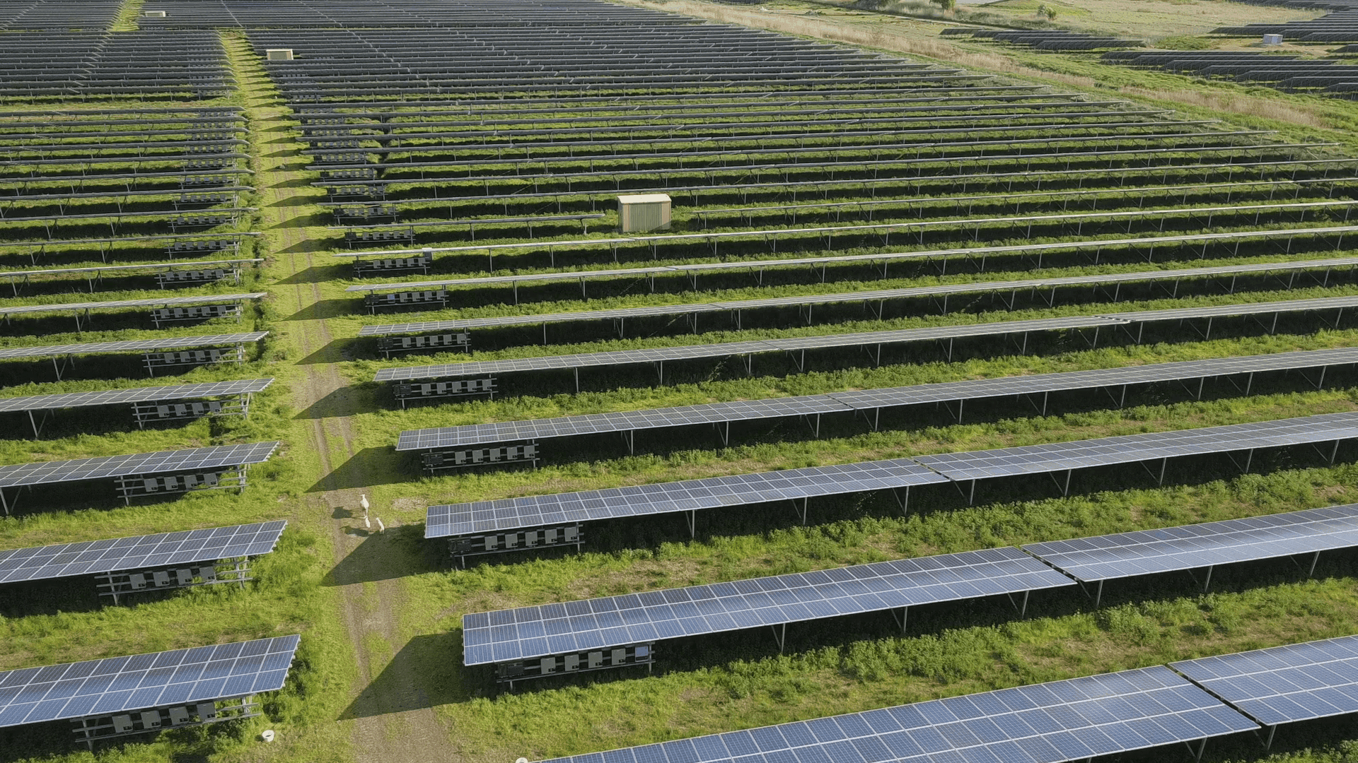 Greenbuddies revamping: Modernizace 20 MWp solárního parku v Německu