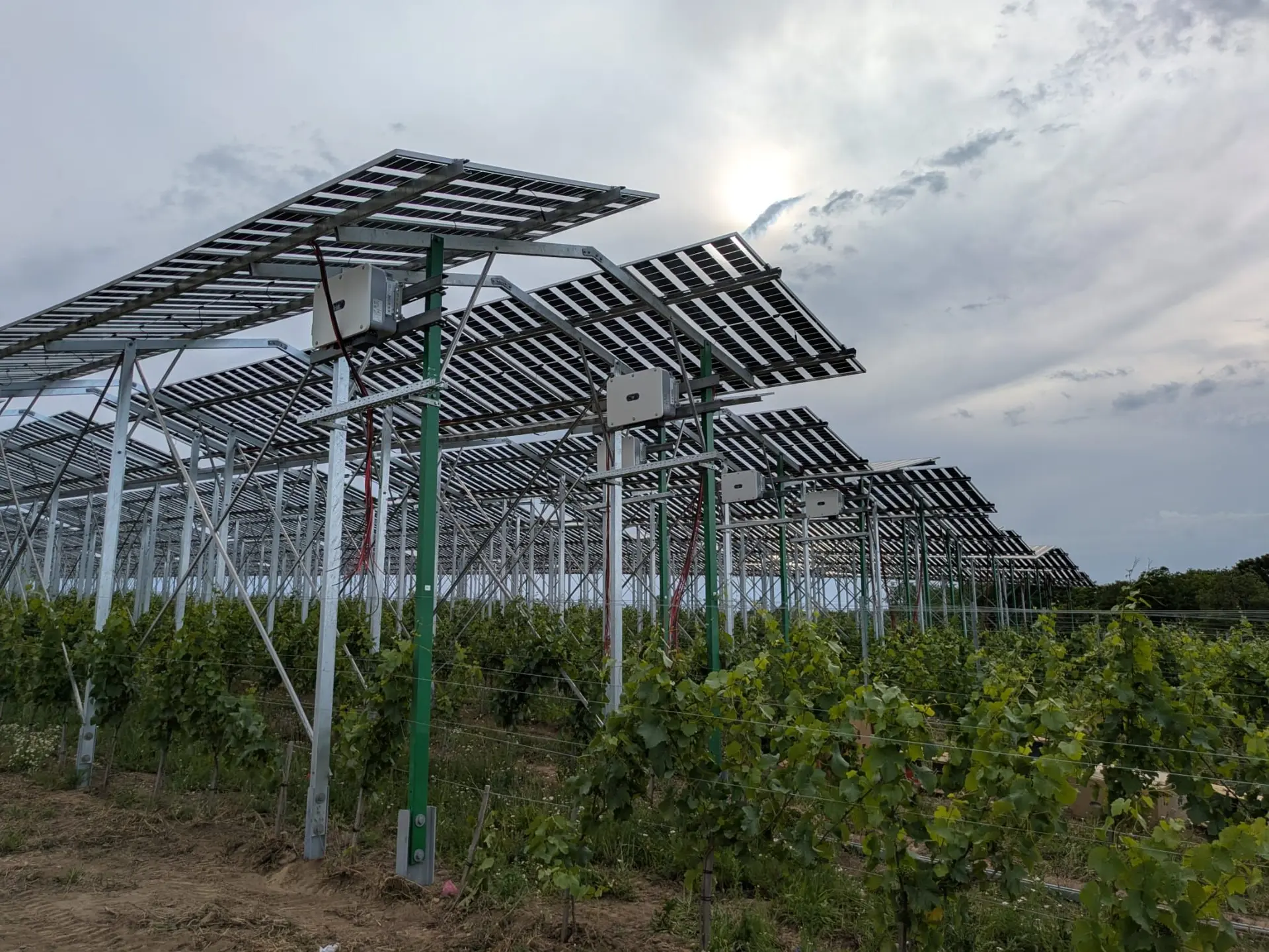 Postavili jsme pozemní fotovoltaickou elektrárnu o výkonu 0,92 MWp.