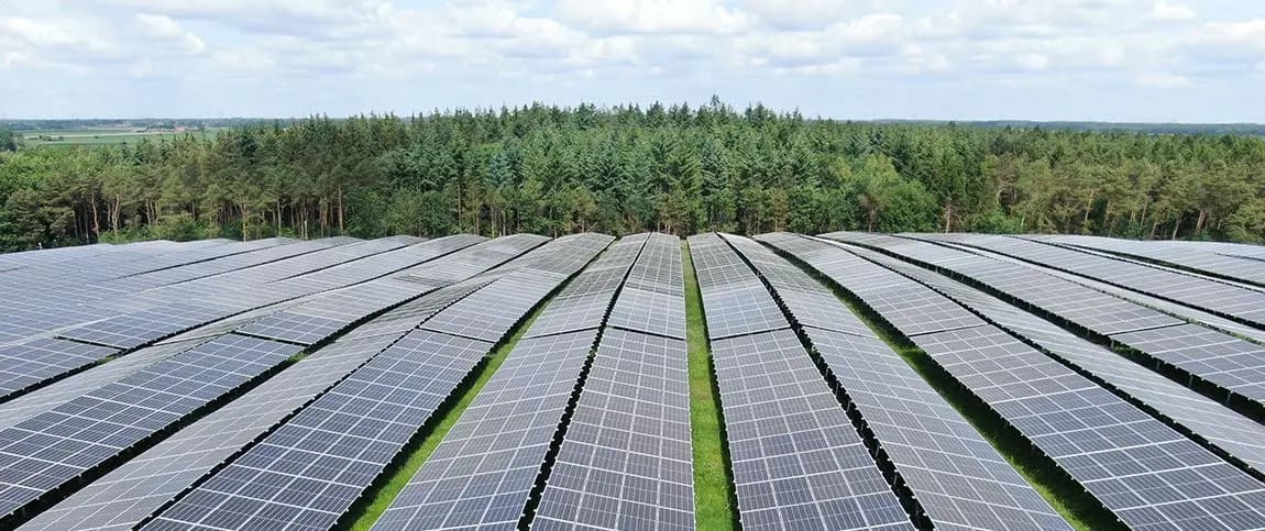 Greenbuddies became ISO 14001 certified
