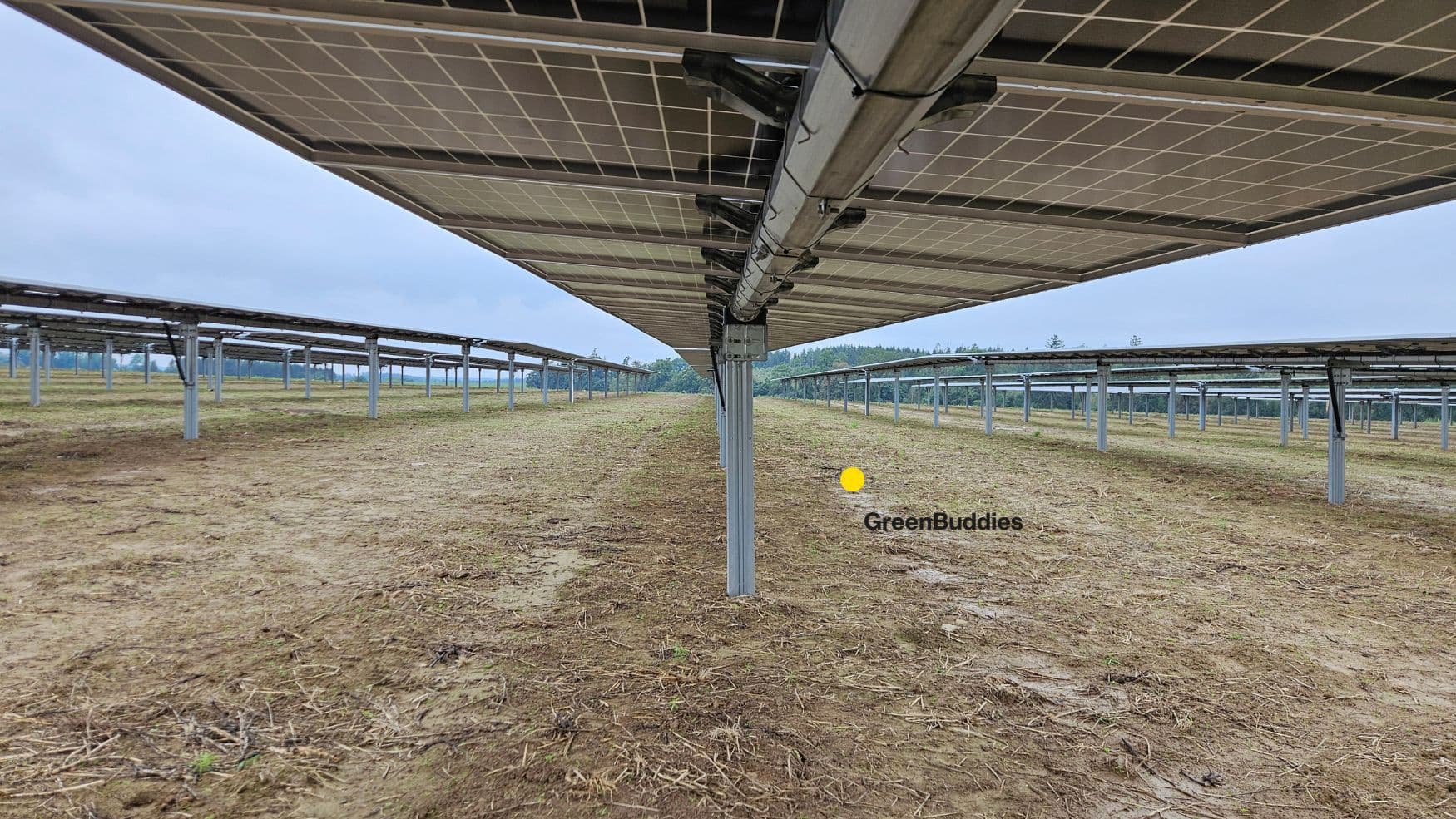 Ekonomické přínosy otočných fotovoltaických panelů pro firmy