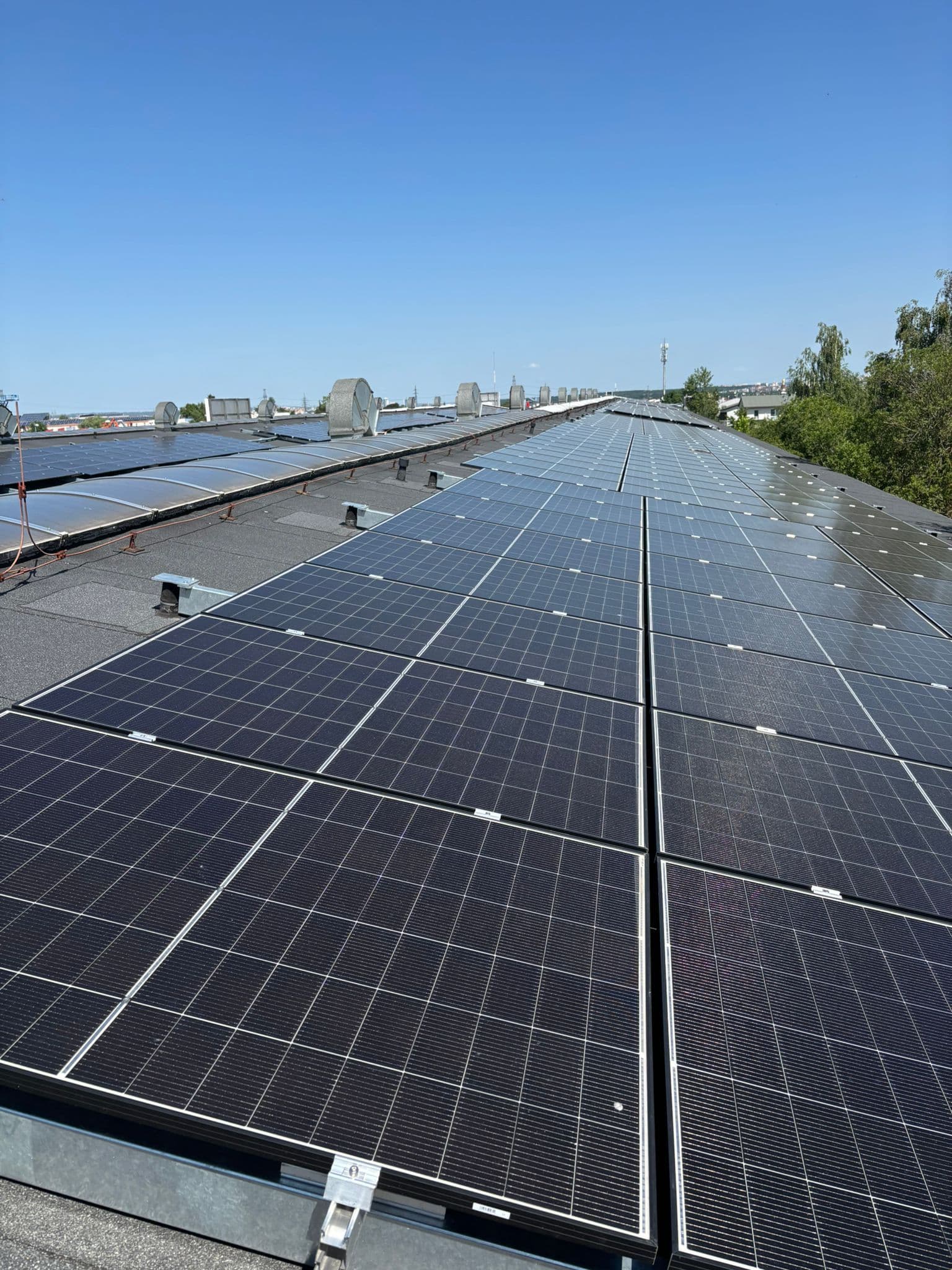 Greenbuddies instalují fotovoltaické panely na střeše i na zemi