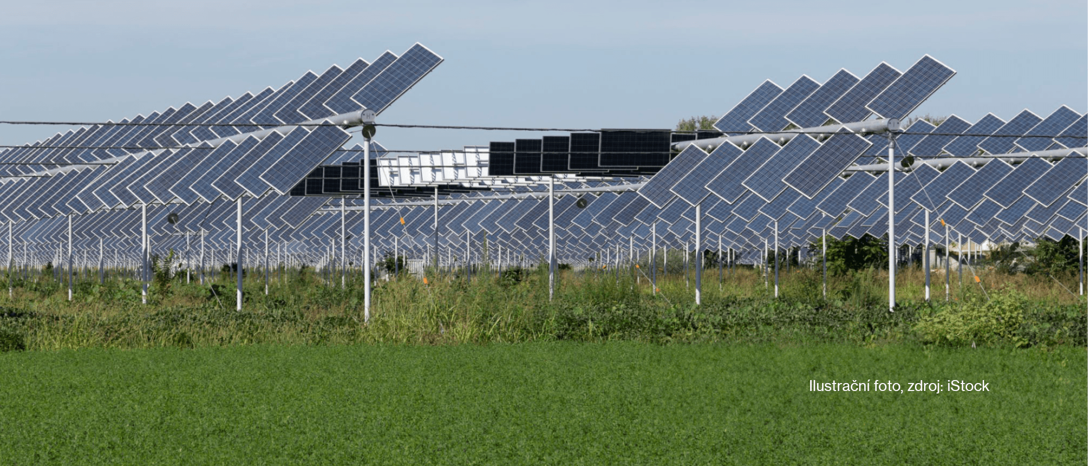 Agrovoltaika v Česku: Novela mění pravidla pro solární elektrárny na zemědělské půdě