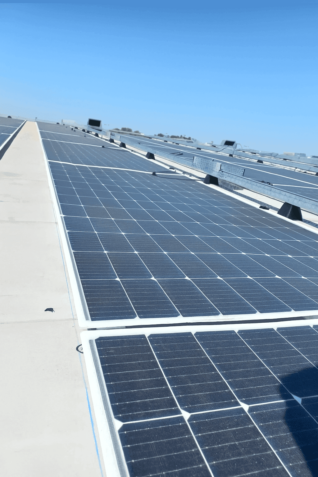 Greenbuddies instalují fotovoltaiku na střeše i na zemi