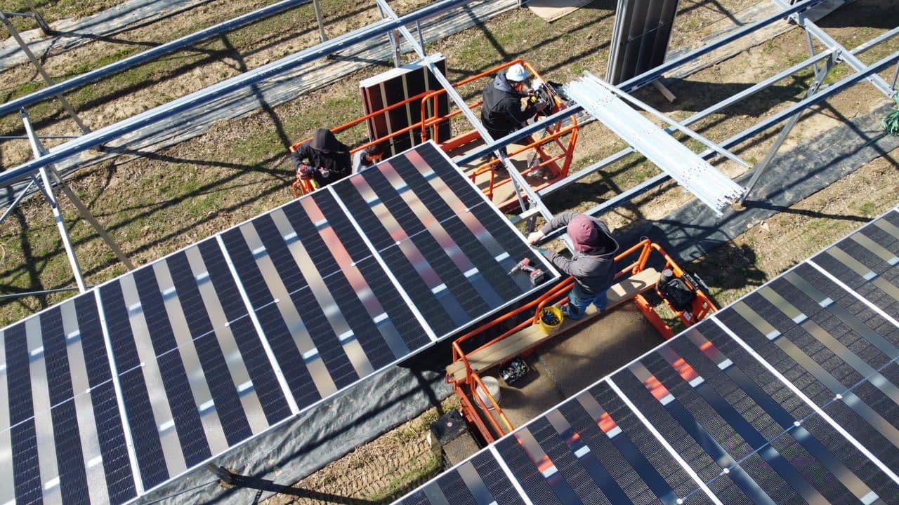 Greenbuddies staví asolární agrivoltaickou elektrárnu v Rakouském Wieselburgu o výkonu 1.81 MWp